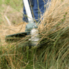 Débroussailleuse / coupe bordure
