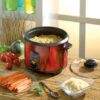 Autocuisseur à riz