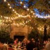 Guirlande lumineuse – guinguette